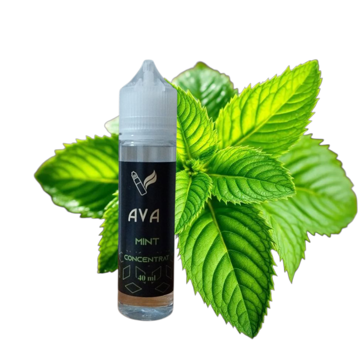 Aroma mentolata  intensa si tonuri vegetale delicate, prospetime intensa si persistenta.